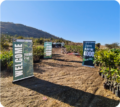 Plantation site entrance with welcome signage at Miyawaki project location